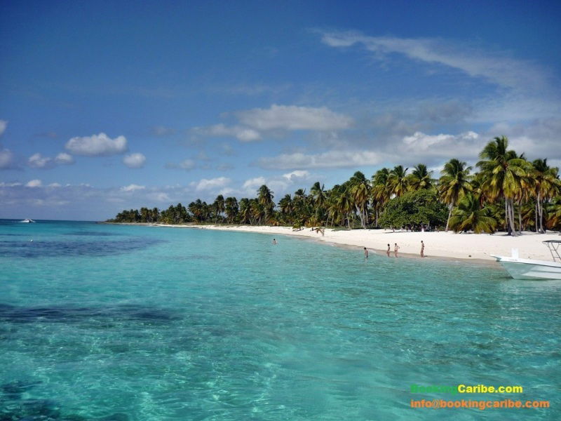 Estudio Independiente Dominicus 114466