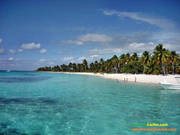 Logement Entier Dominicus 114466-12