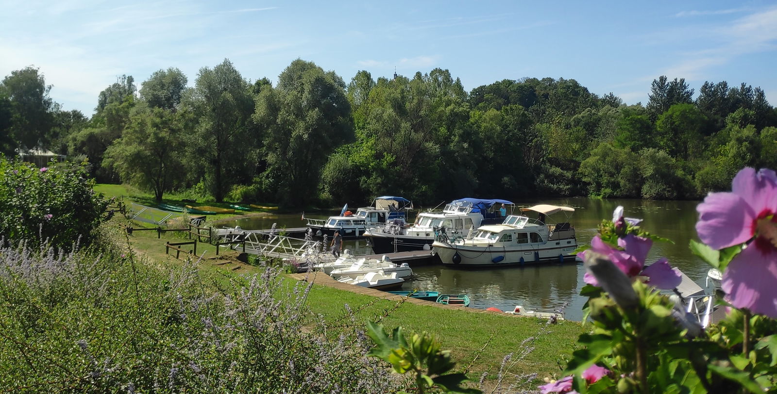 Niezależne Studio Traves 82551