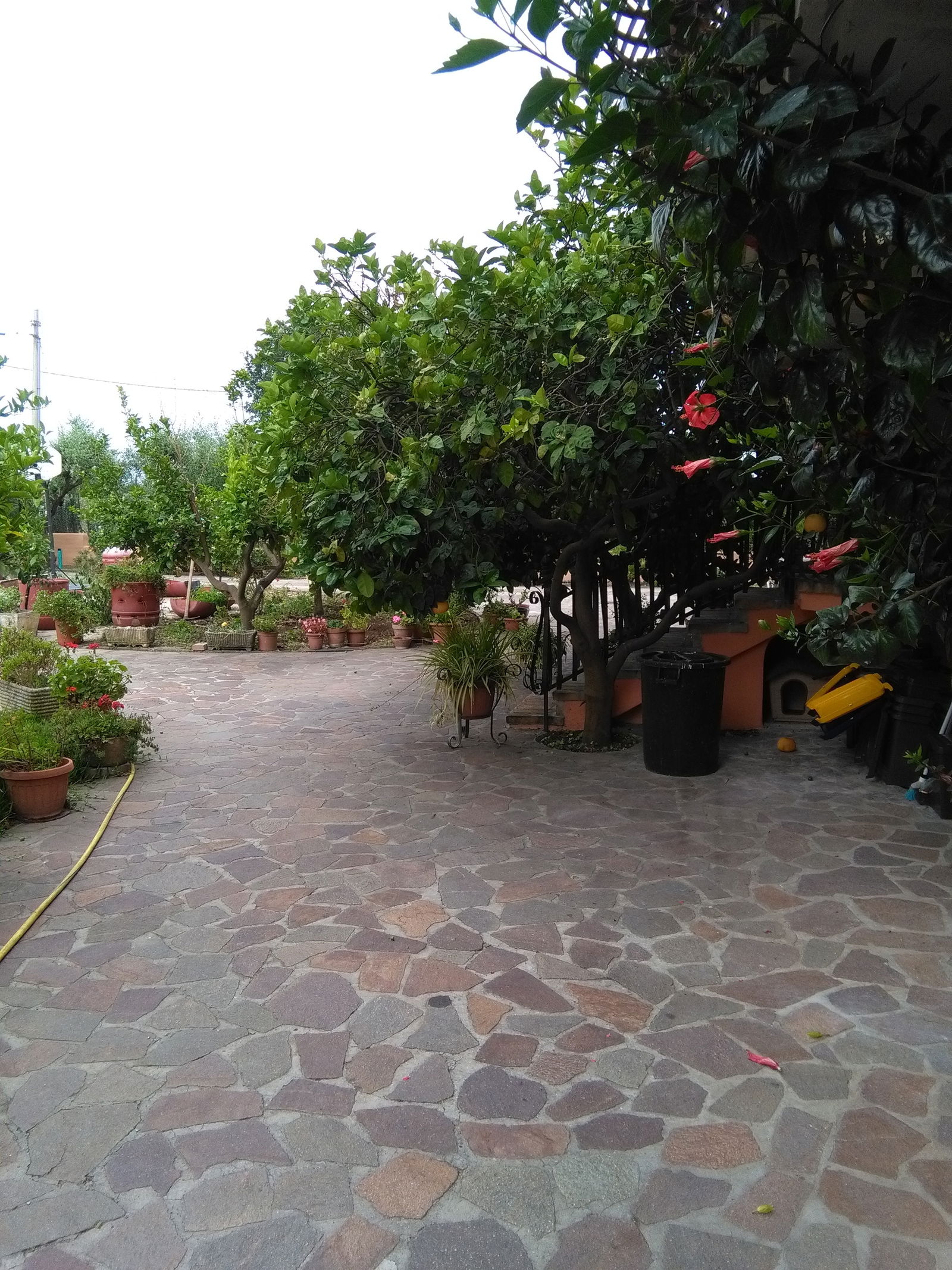 Kolokation Lazio 158782