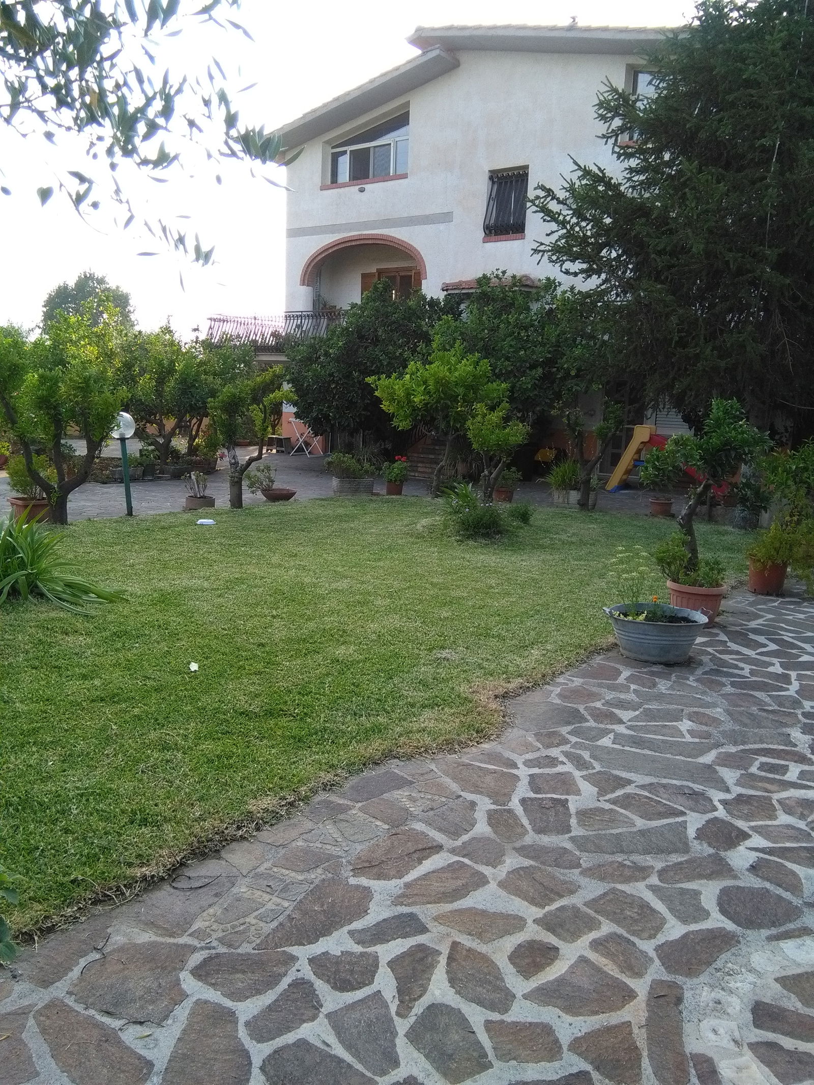 Kolokation Lazio 158782