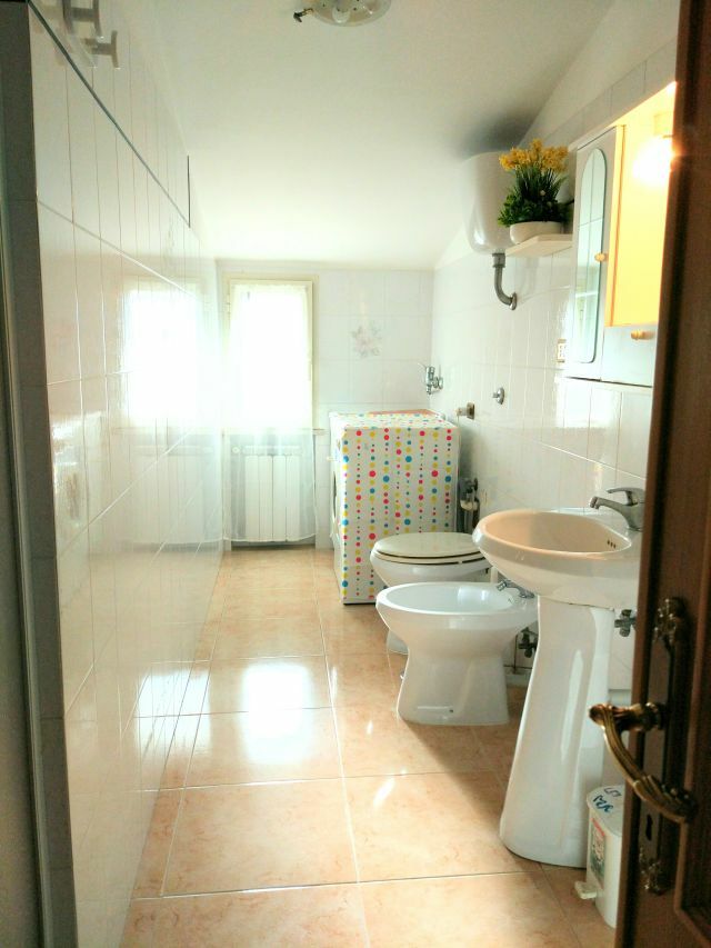 Kolokation Lazio 158782