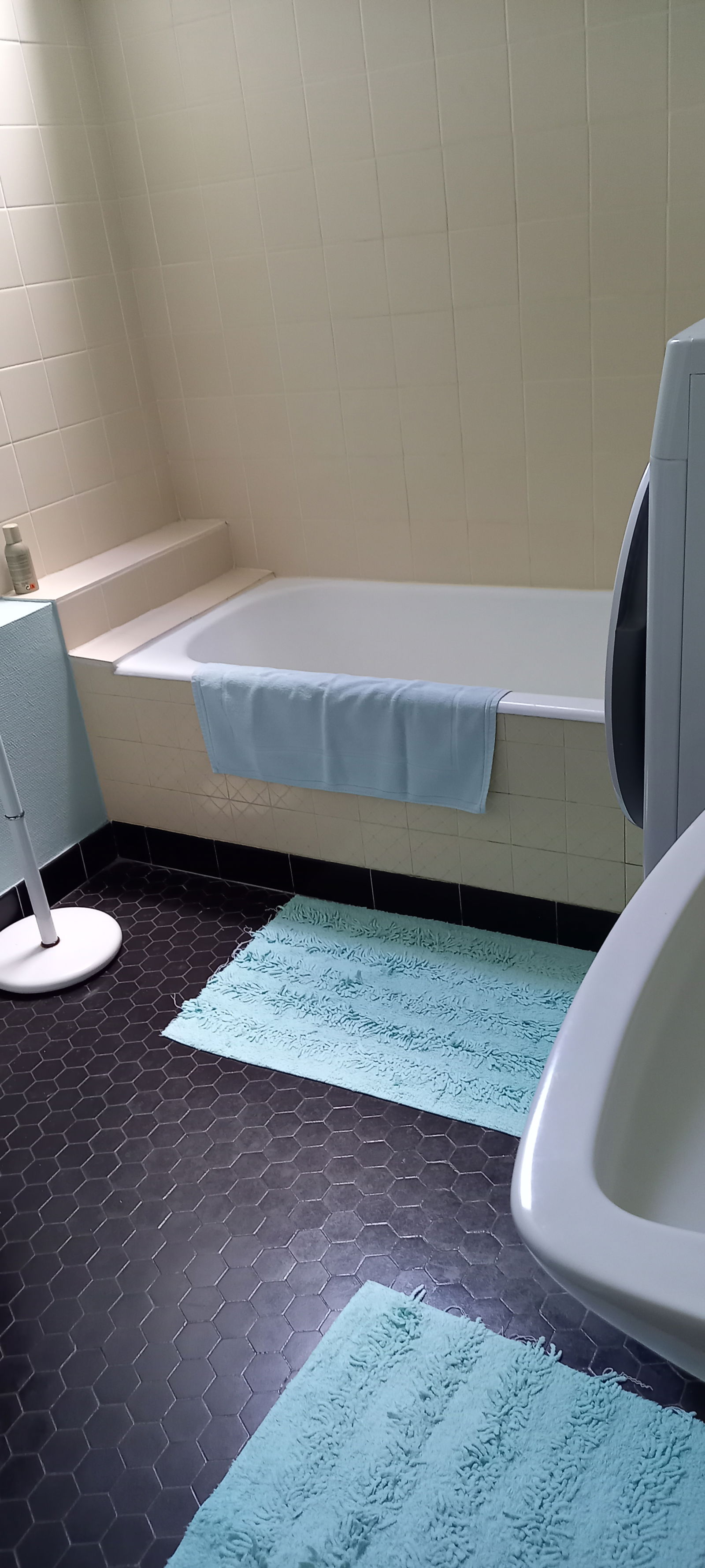 Gastfamilie Saint-Jean-de-Braye 295589