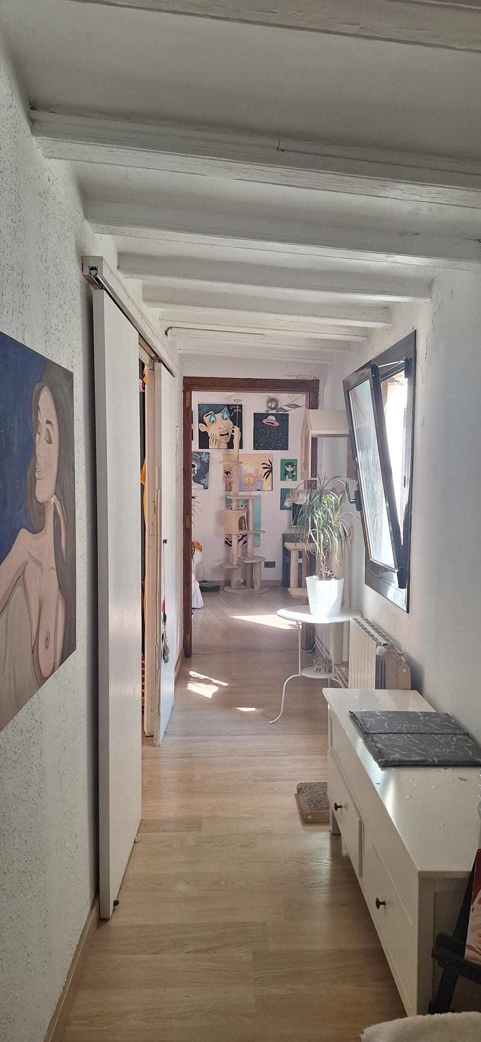 Kolokation Barcelona 265006