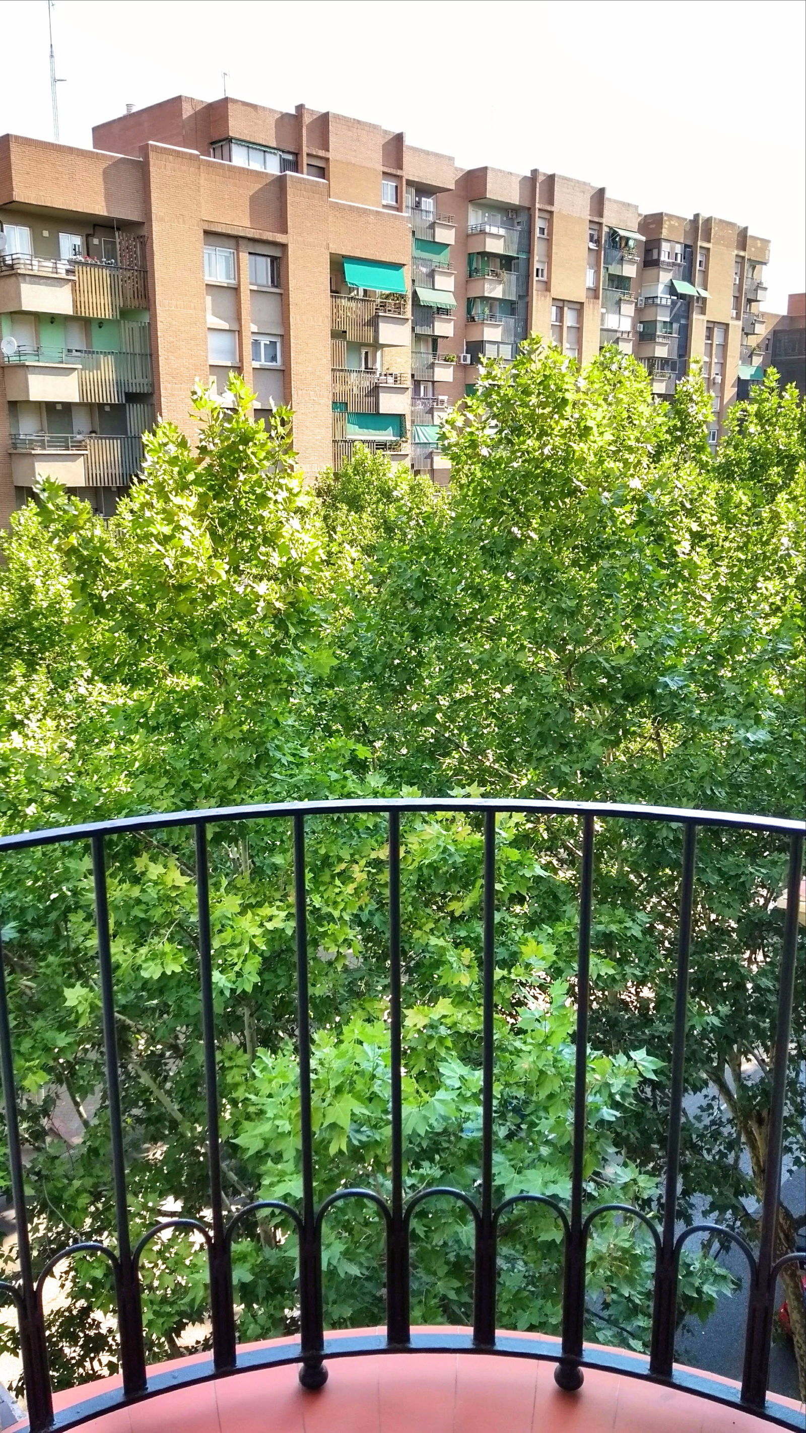 Gastfamilie Madrid 177671