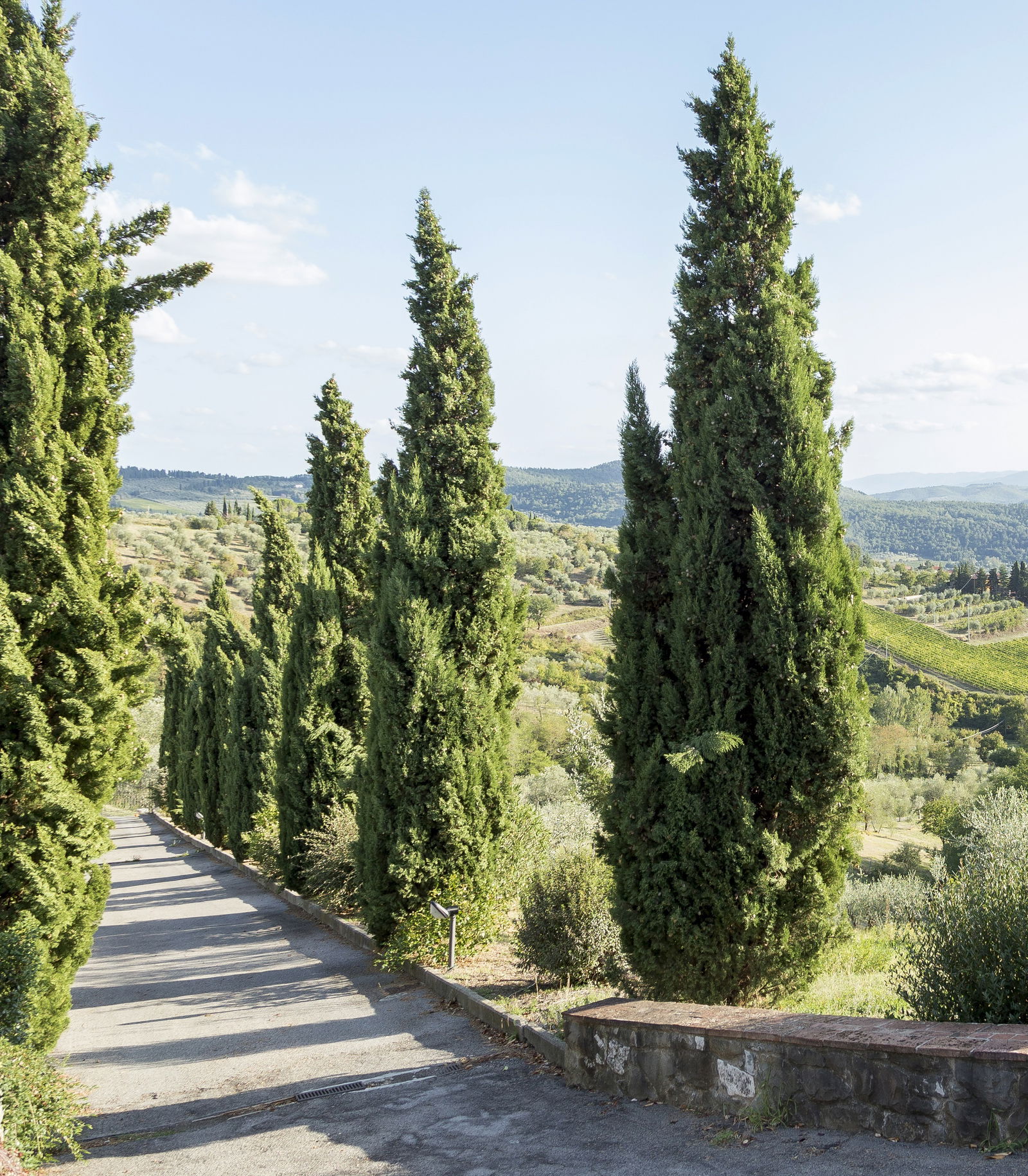 Gastfamilie Toscana 183200