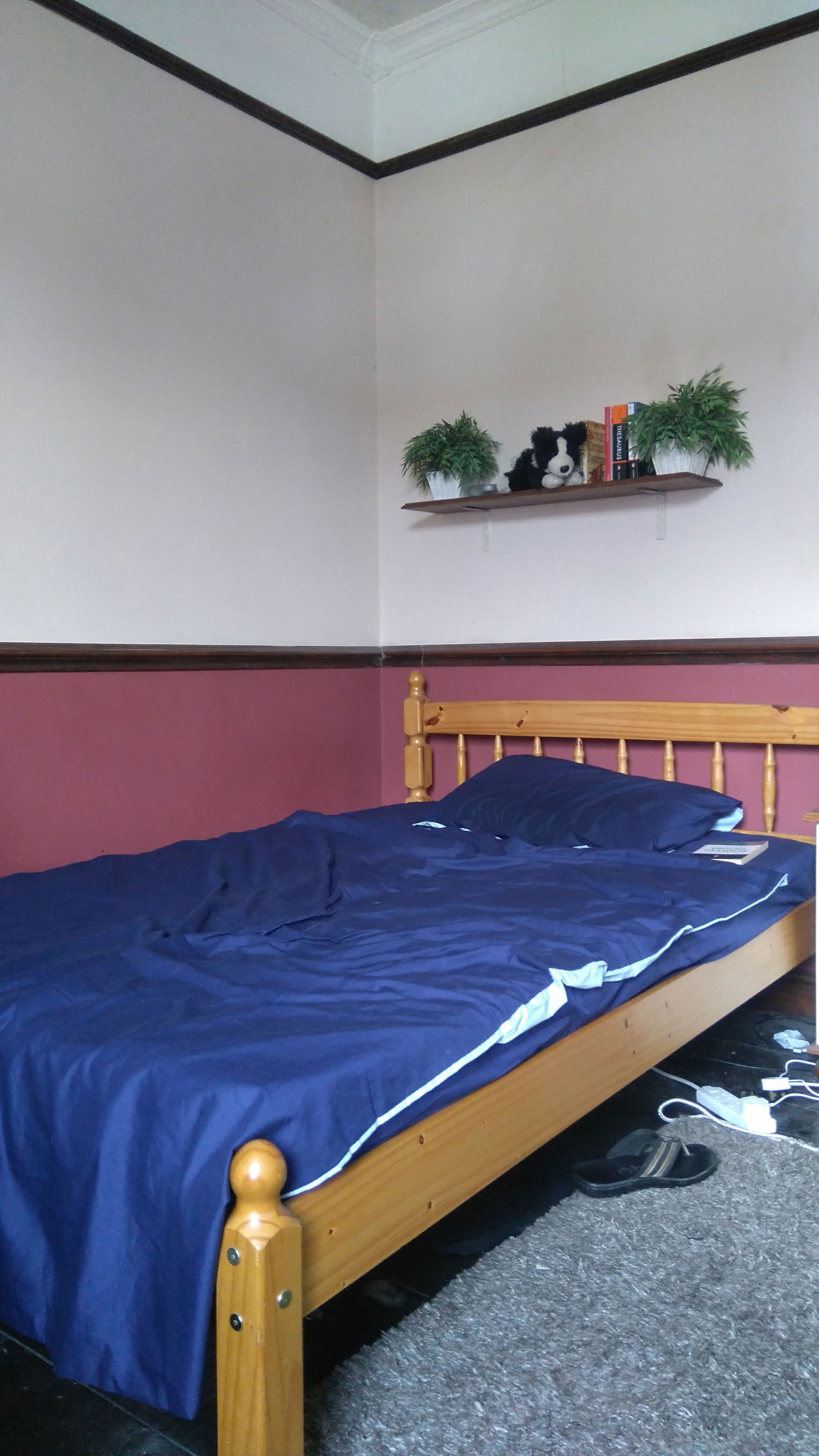 Gastfamilie Coventry 172161