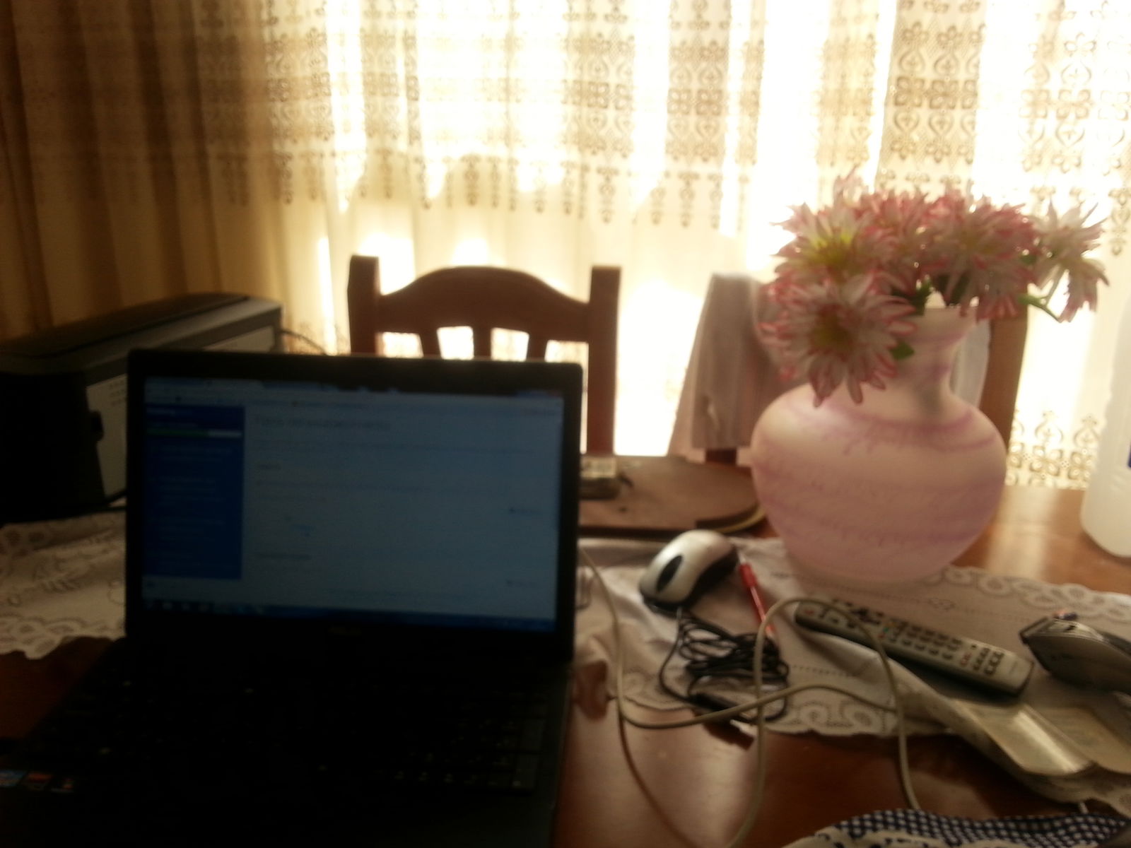 Gastfamilie Palma de Mallorca 87259