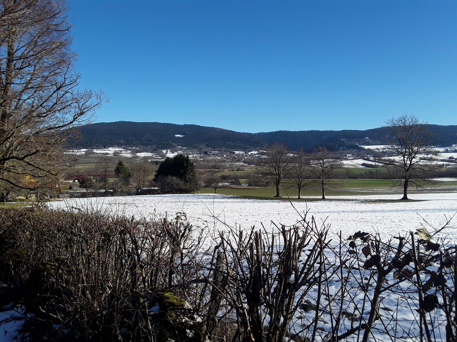 Unabhängiges Studio Brénod 246314