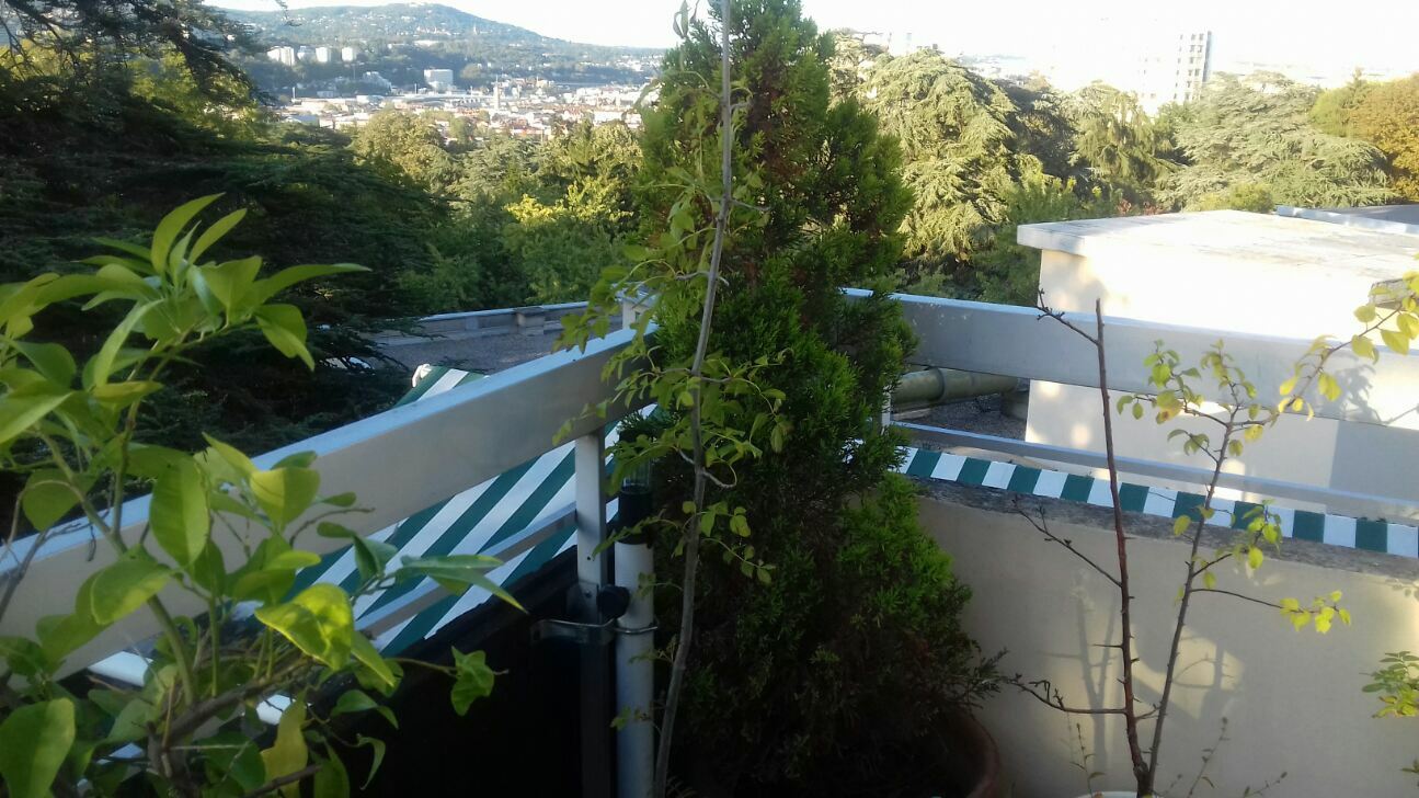 Quedarse En Casa Lyon 231070