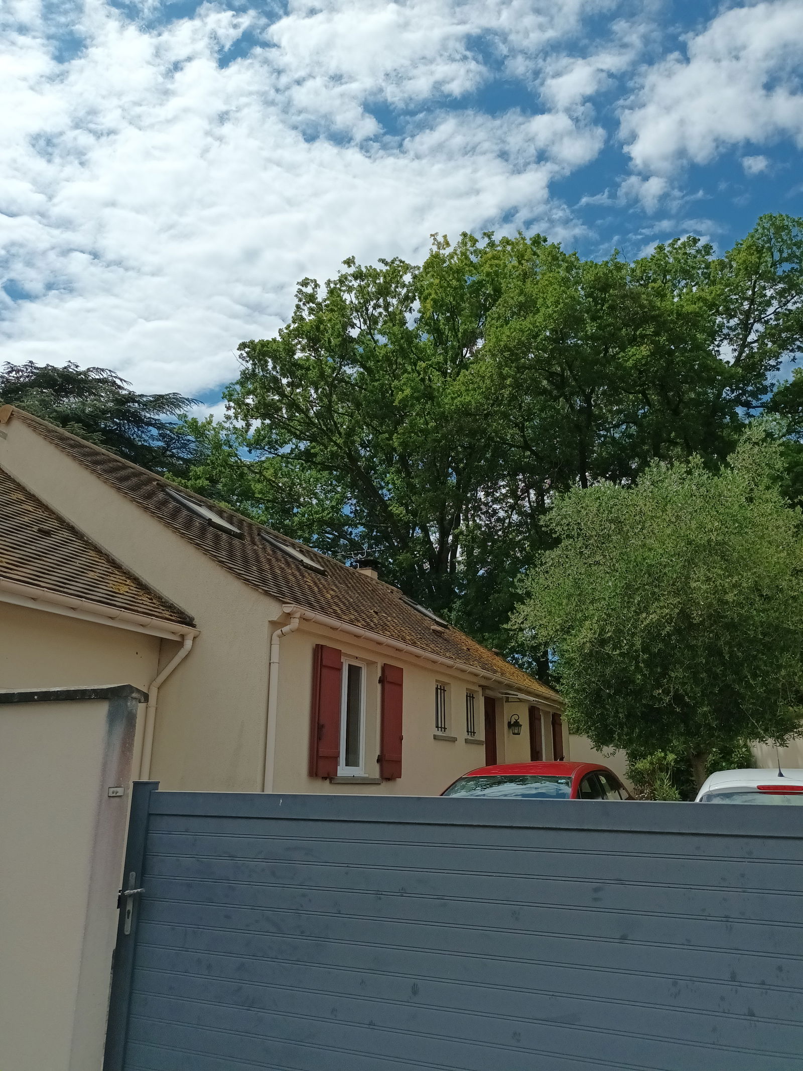 Colocación Osmery 432638