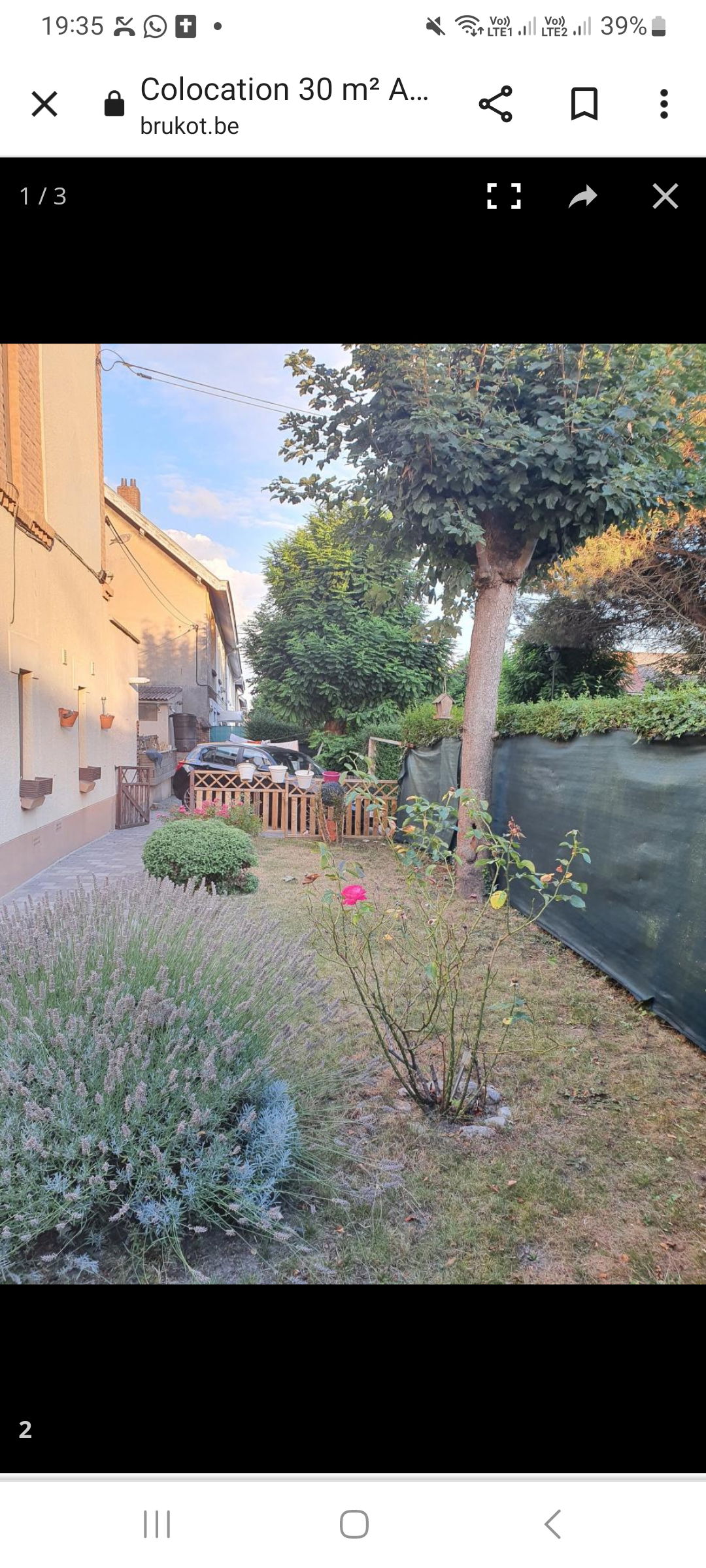 Colocación Anderlecht 276713