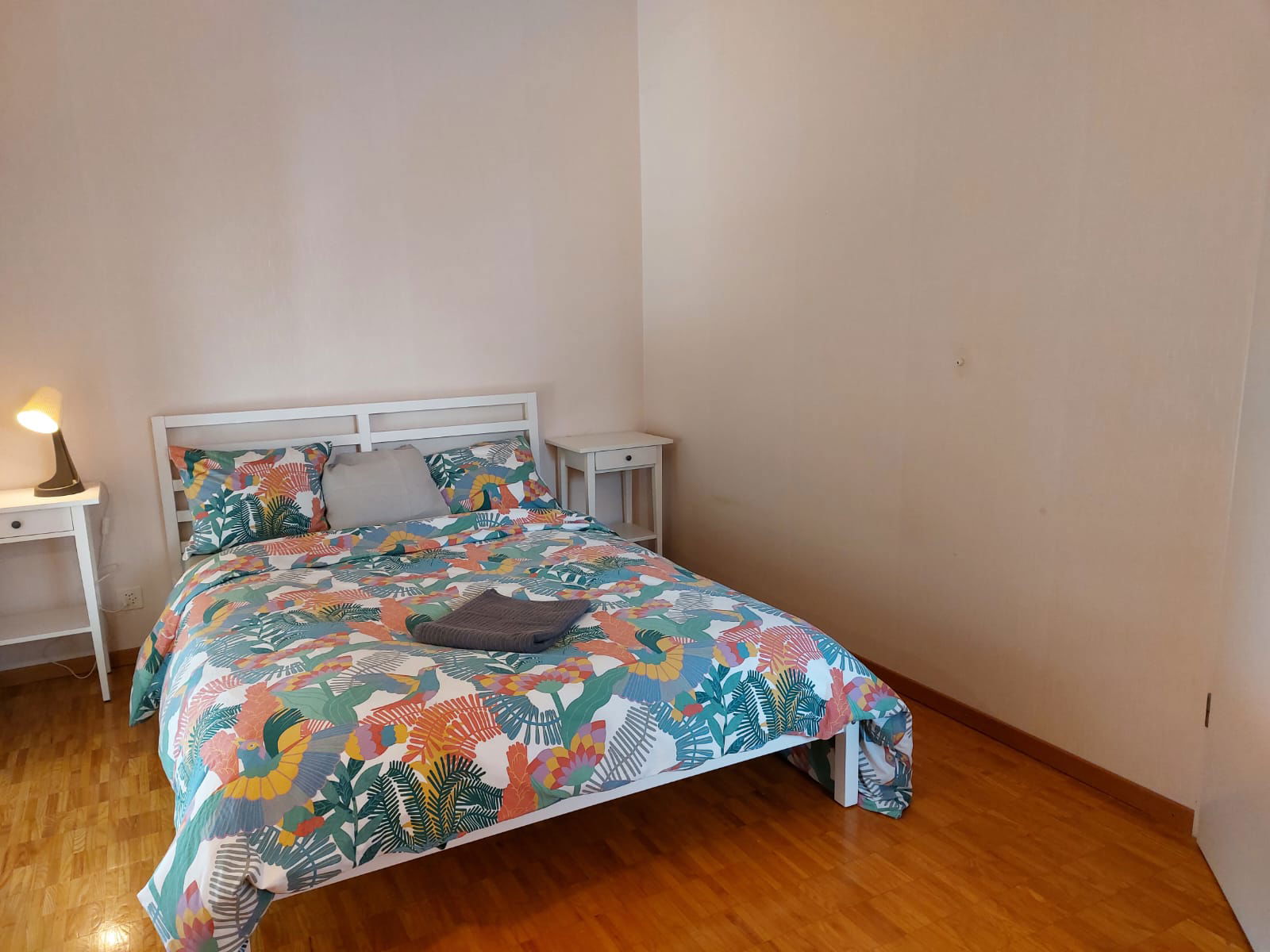 Colocación Renens 336888