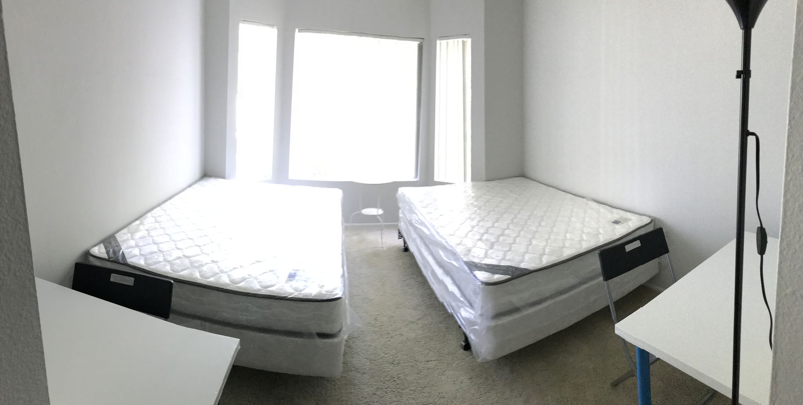 Colocación Los Angeles 224683