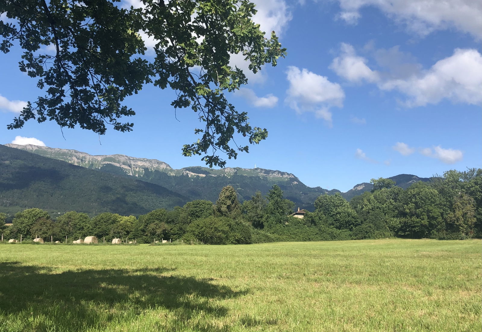 Quedarse En Casa Gex 253980