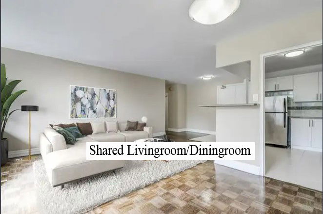 Coliving Toronto 462944