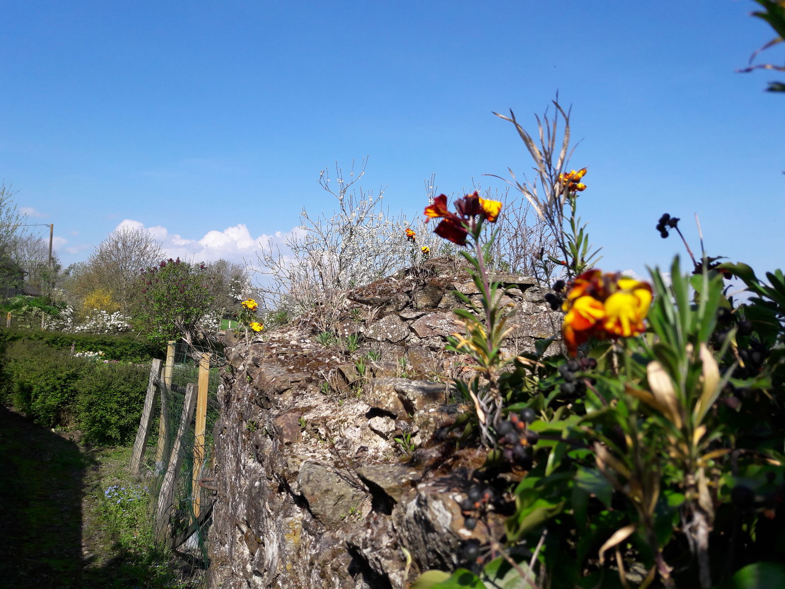 Quedarse En Casa Mont-Saint-Jean 198159