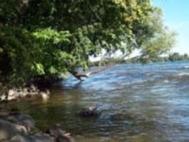 Zakwaterowanie U Rodziny Montréal 29248