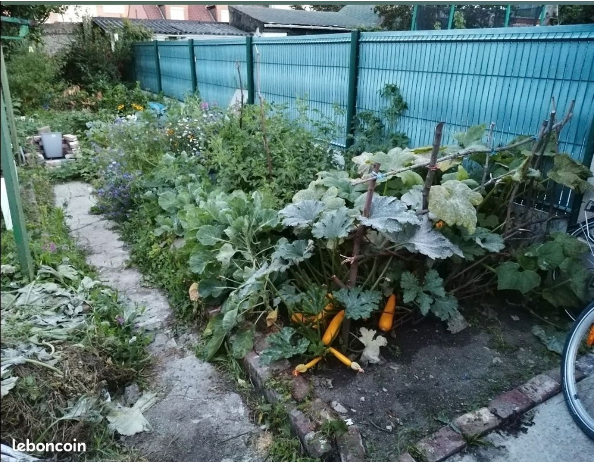 Kolokacja Faches-Thumesnil 515952