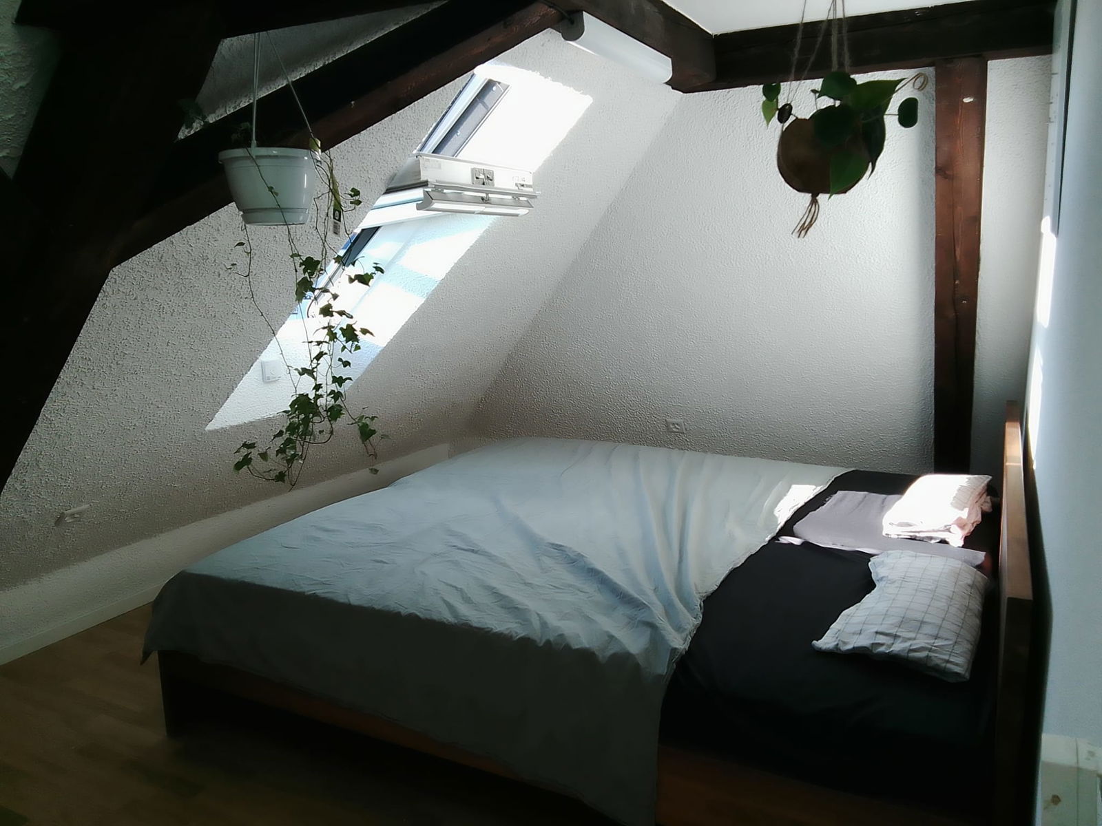 Homestay Binningen 604614