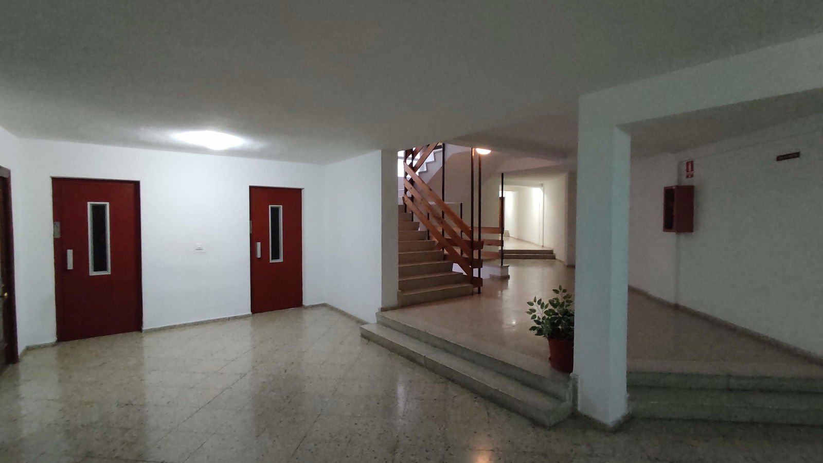 Colocation Alacant 588531