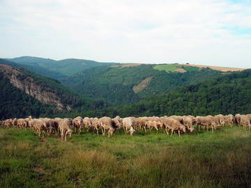 Logement Entier Le Travet 150461-5