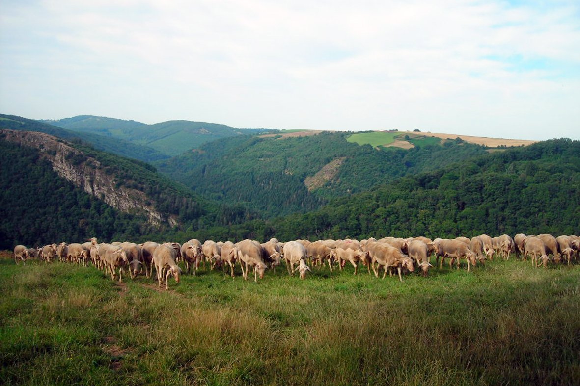 Studio Indépendant Le Travet 150461