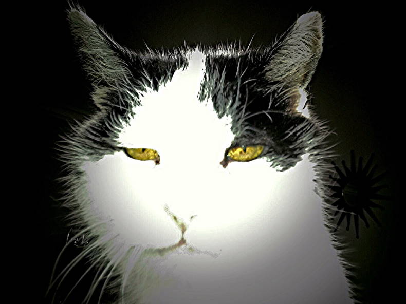 Gastfamilie England 161735-1