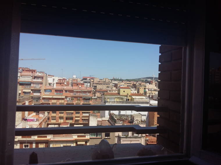 Homestay L'Hospitalet de Llobregat 142442