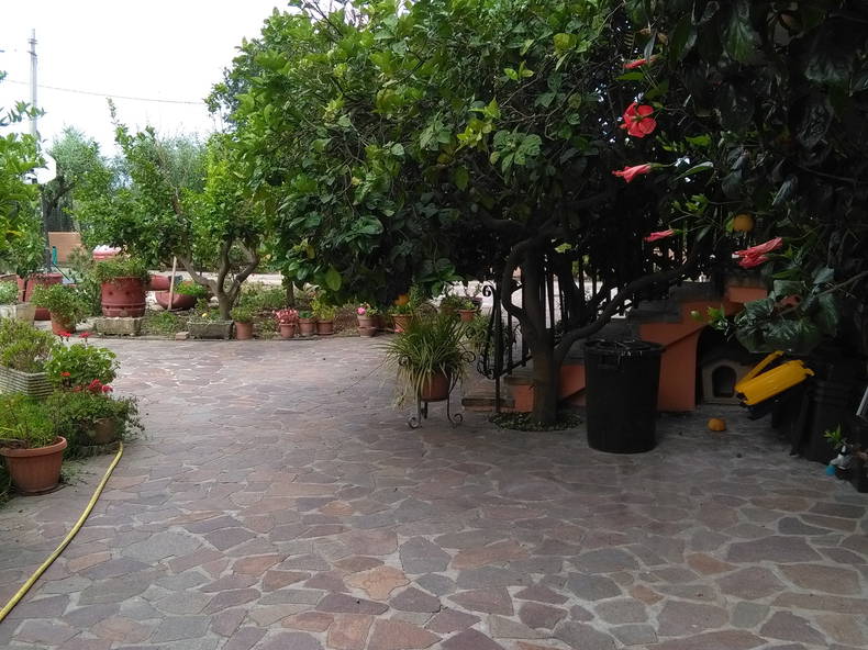 Colocation Lazio 158782-1