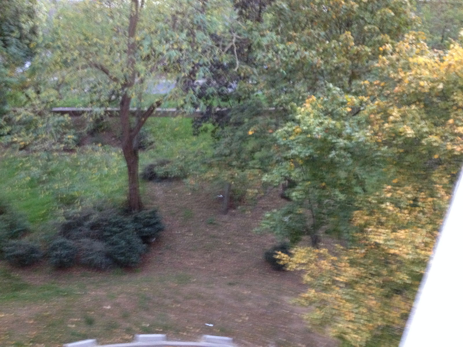 Colocation Argenteuil 246228