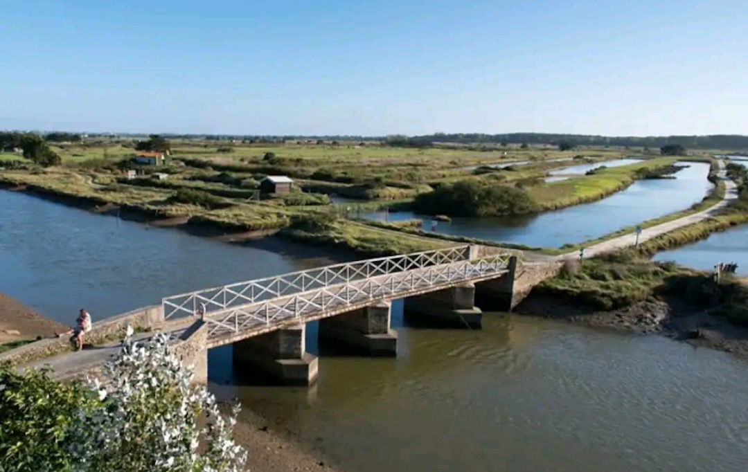 Homestay L'Île-d'Olonne 263120