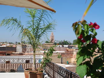 Famiglia Marrakesh 132804-11