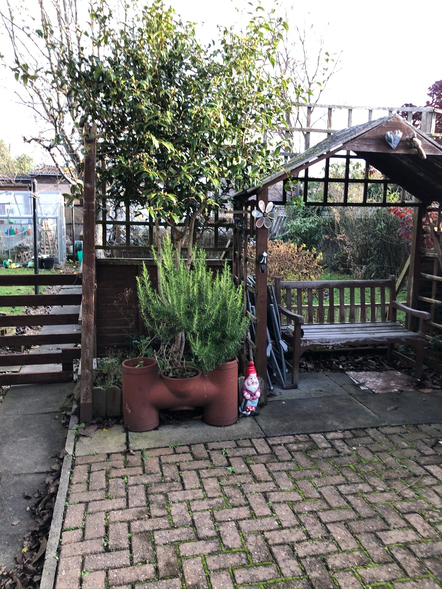 Homestay Elgin 257737