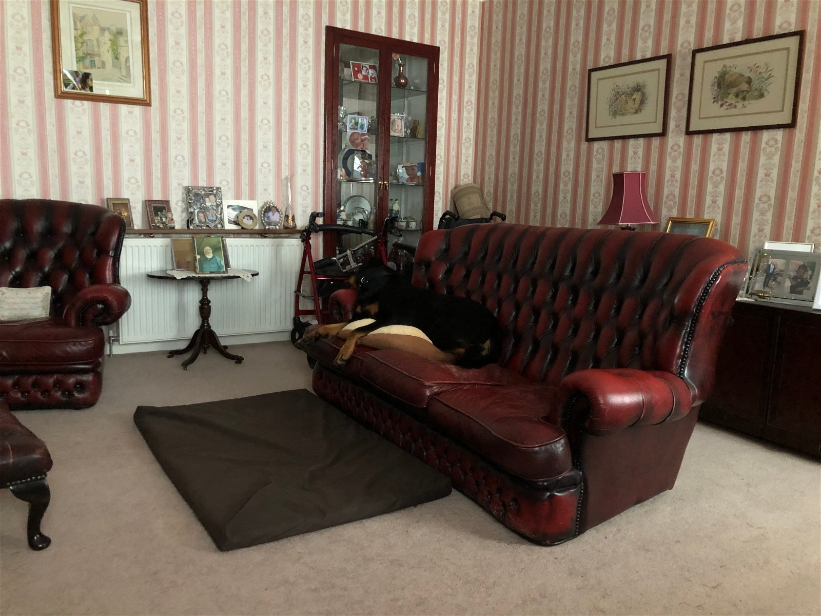 Homestay Elgin 257737