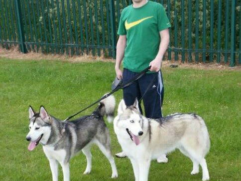 Homestay Doncaster 115261-2