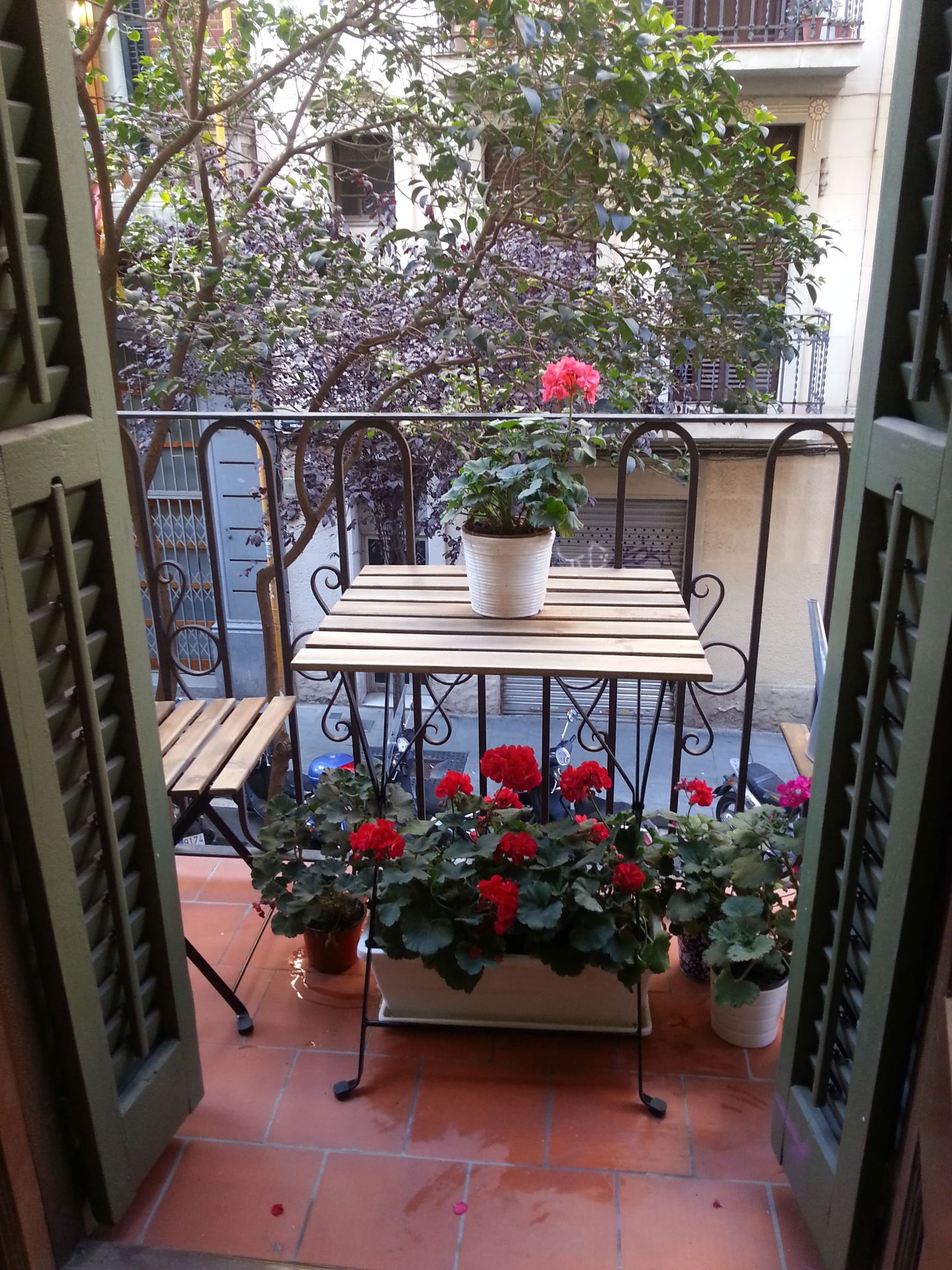 Homestay Barcelona 177147
