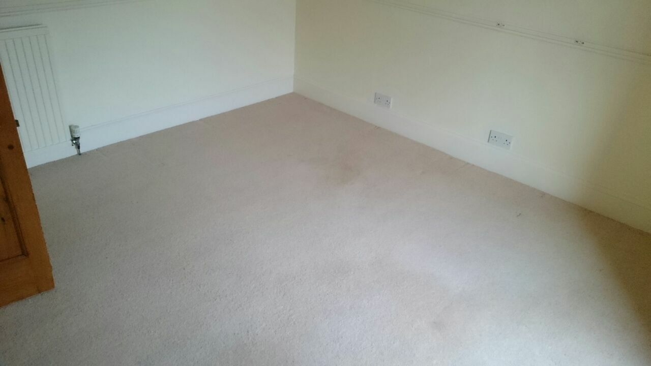 Homestay Macduff 105408