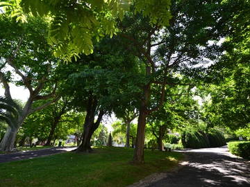 Chambre D'hôte Sète 41541-6