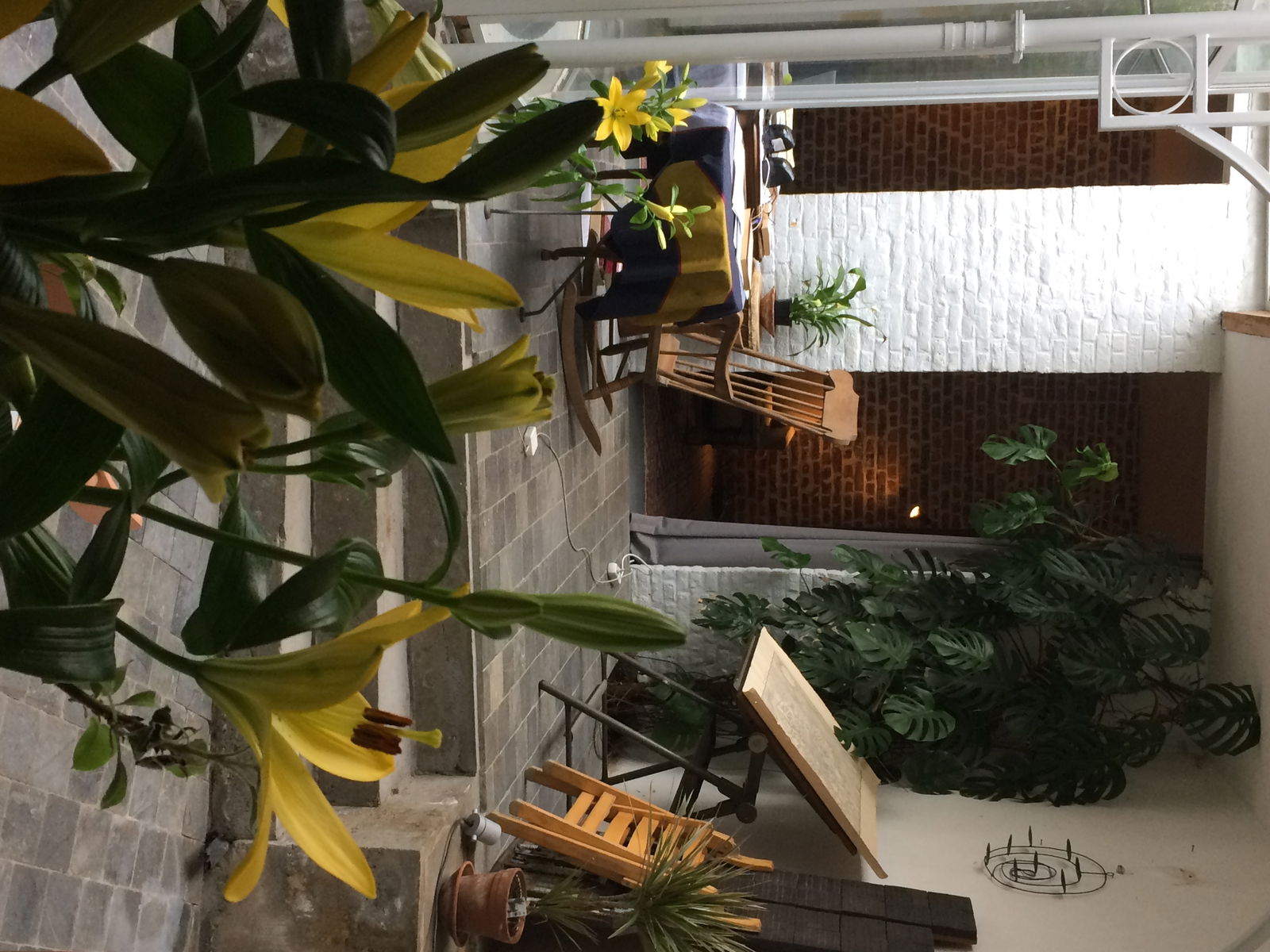 Homestay Anderlecht 179844