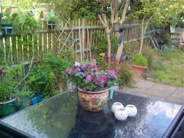 Chambre Chez L'habitant Perivale 206306-9