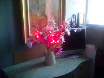 Chambre Chez L'habitant Perivale 206306-10