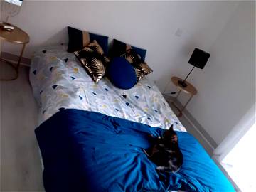 Roomlala | Double room for rent in house with garden and swimming pool