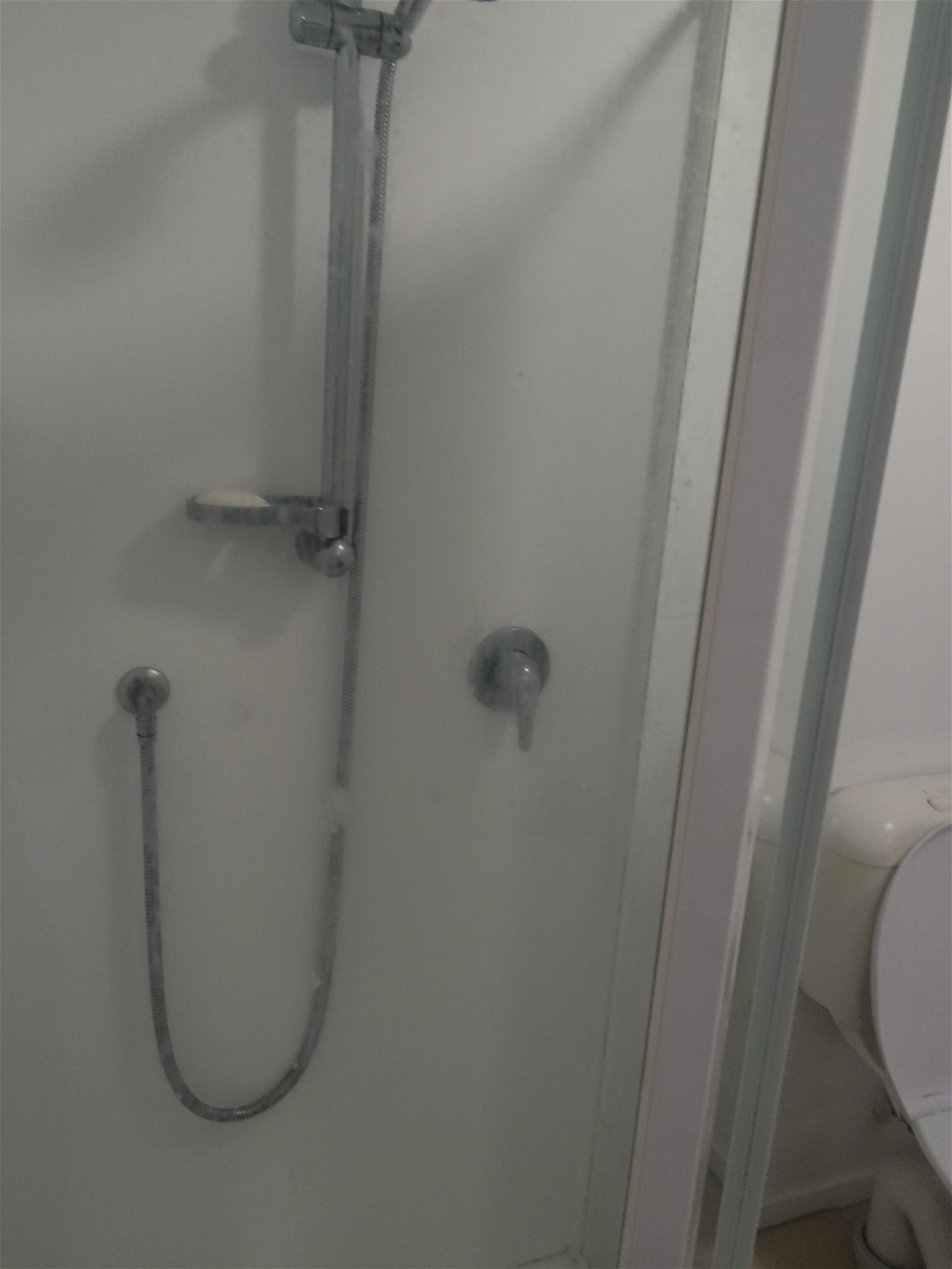 Homestay Auckland 210295