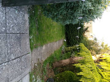 Homestay Kidlington 132399-4