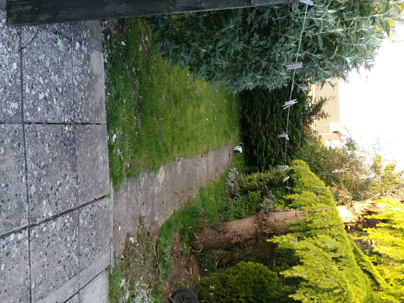 Zakwaterowanie U Rodziny Kidlington 132399-4