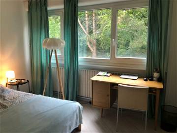 Room For Rent Ferney-Voltaire 232485-1