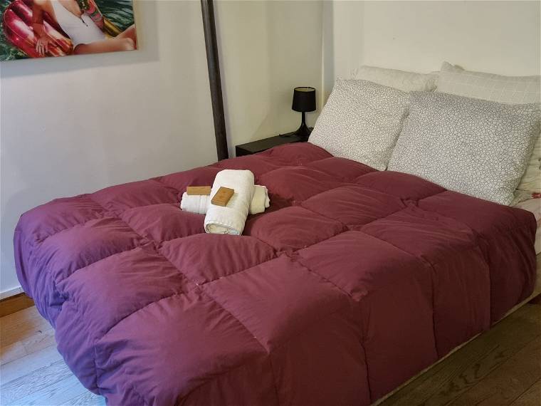 Chambre À Louer Lyon 338292