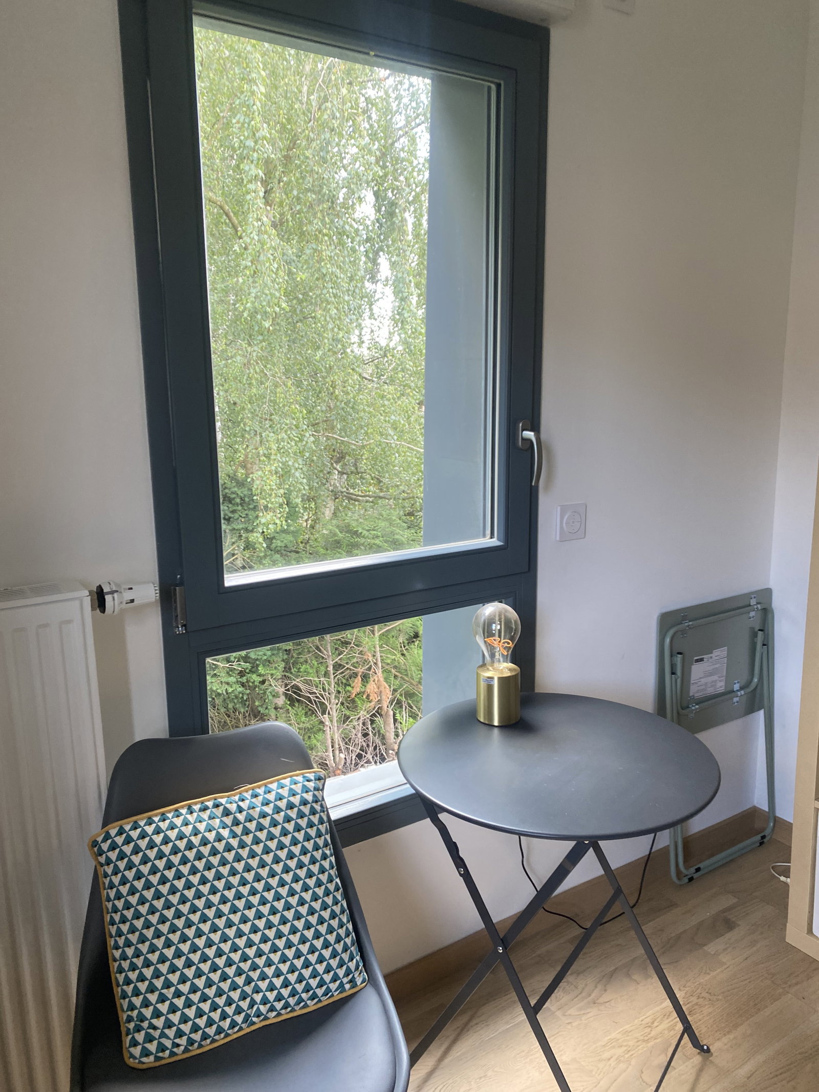 Homestay Lille 250117