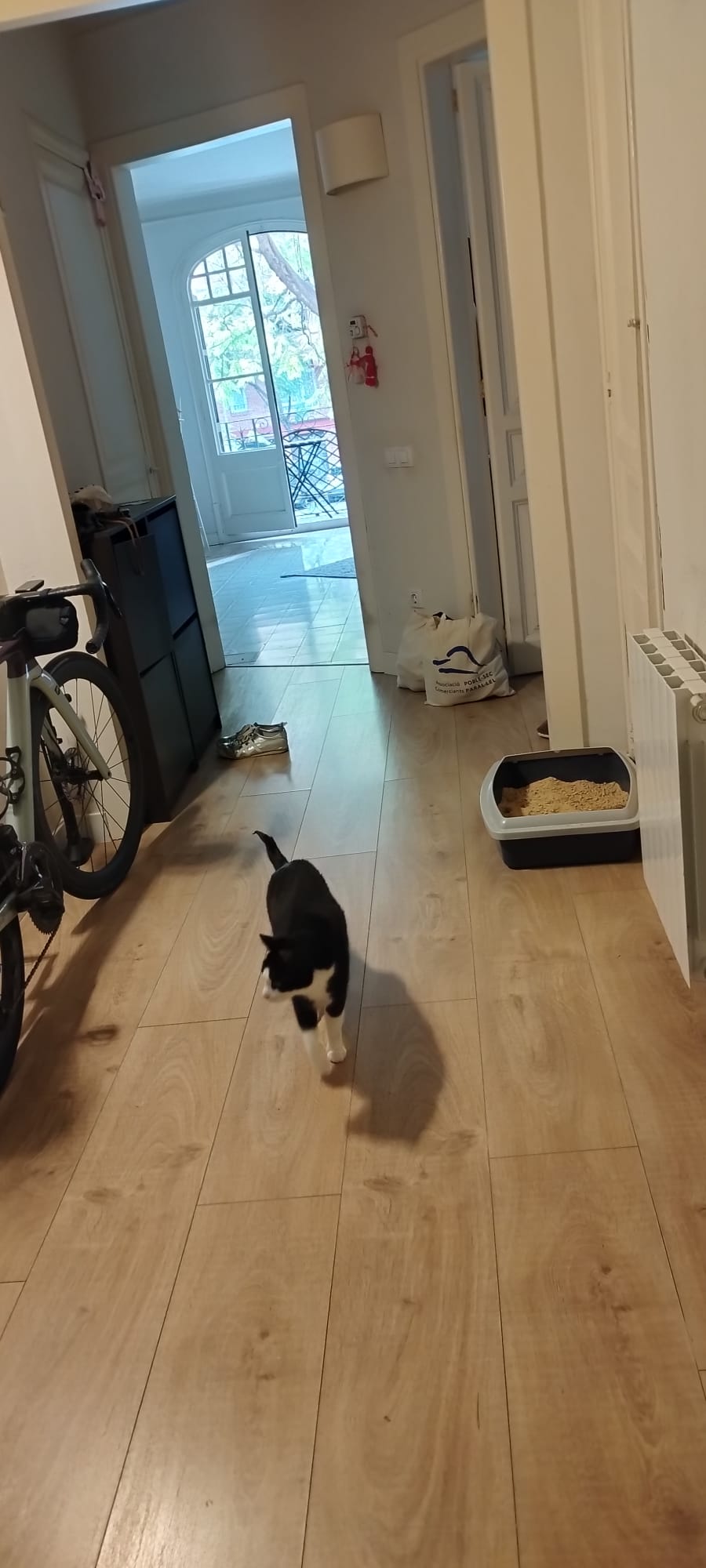 Homestay Barcelona 661773